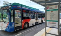 Feeder Bus